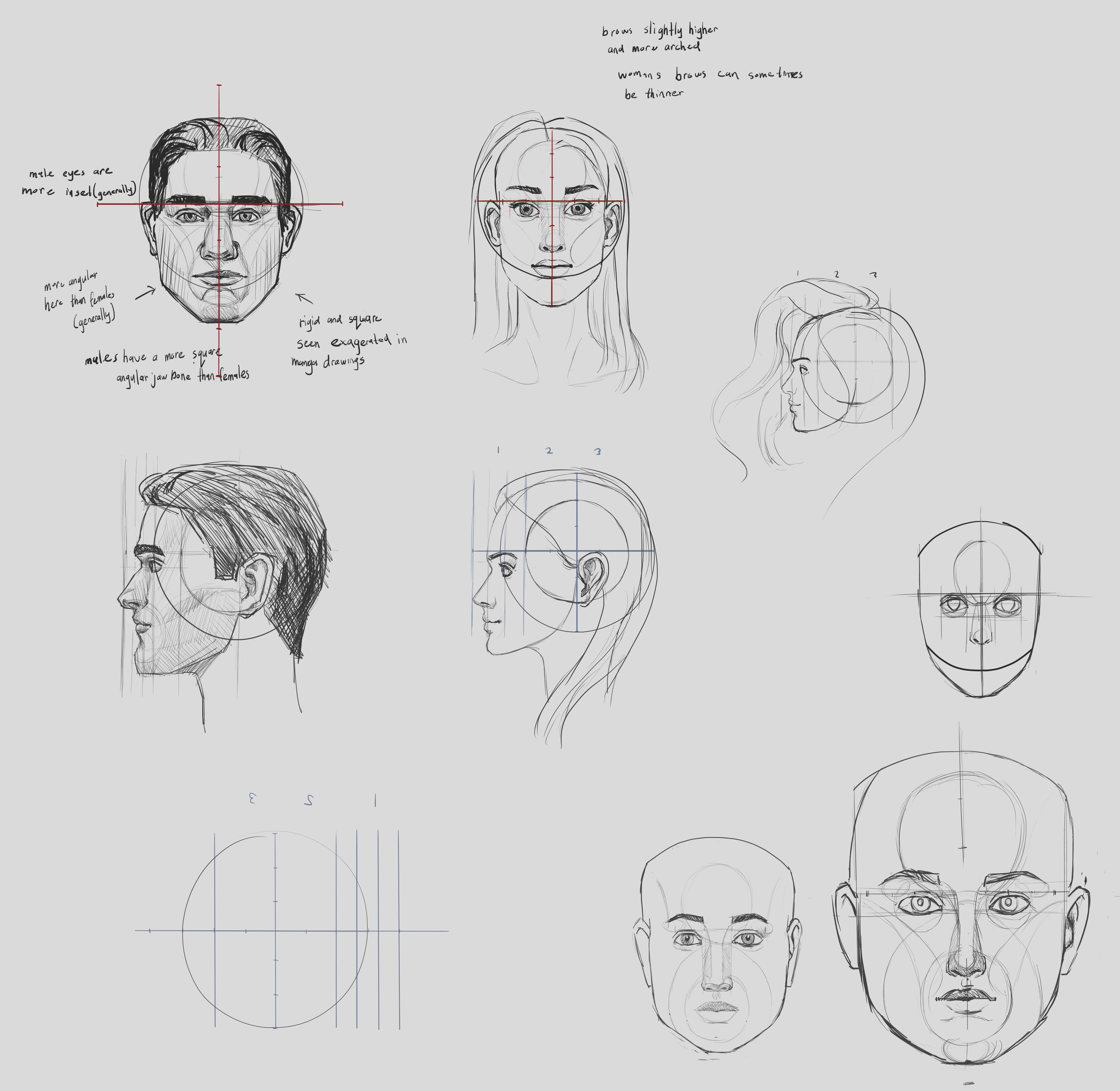 Online Course: How To Draw Faces | Female Heads: Front, Side & Three  Quarter View from Skillshare | Class Central