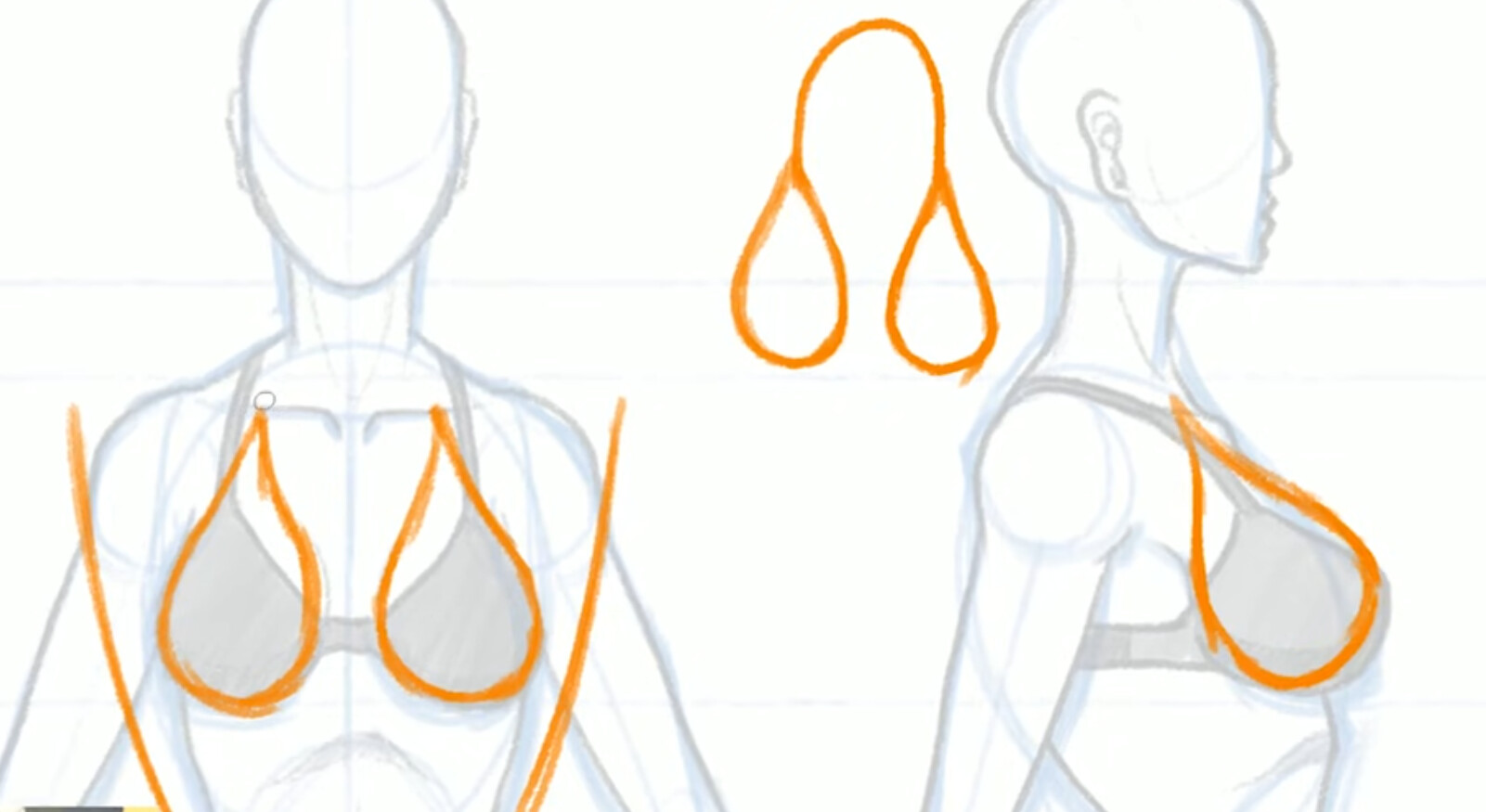 How to draw the female body - body shape, breasts, shoulders, hips