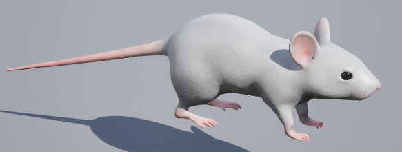mouse3