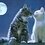 Cosmin_Anton