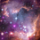 Hamed_Mirza