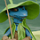 HobbyPirates HobbyPirates