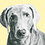 Jeff_Farnsworth