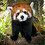 Martyn_Stewart