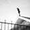 Matthew_Fasullo