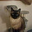 OliveTheGreat