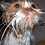 rodolfo_pezzotti
