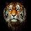 TheBroking