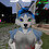 Wolfram9998